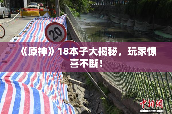《原神》18本子大揭秘，玩家惊喜不断！
