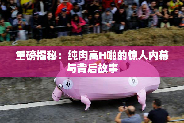 重磅揭秘：纯肉高H啪的惊人内幕与背后故事