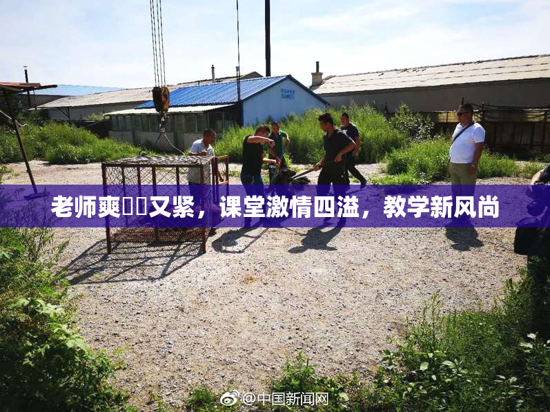 老师爽❌‌又紧，课堂激情四溢，教学新风尚