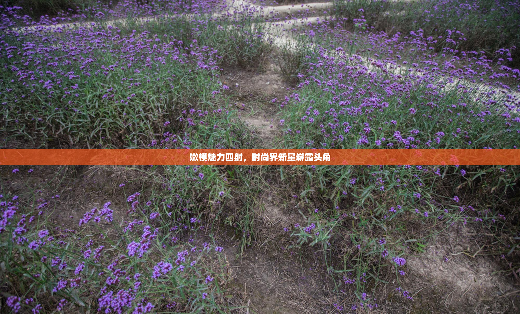 嫩模魅力四射，时尚界新星崭露头角