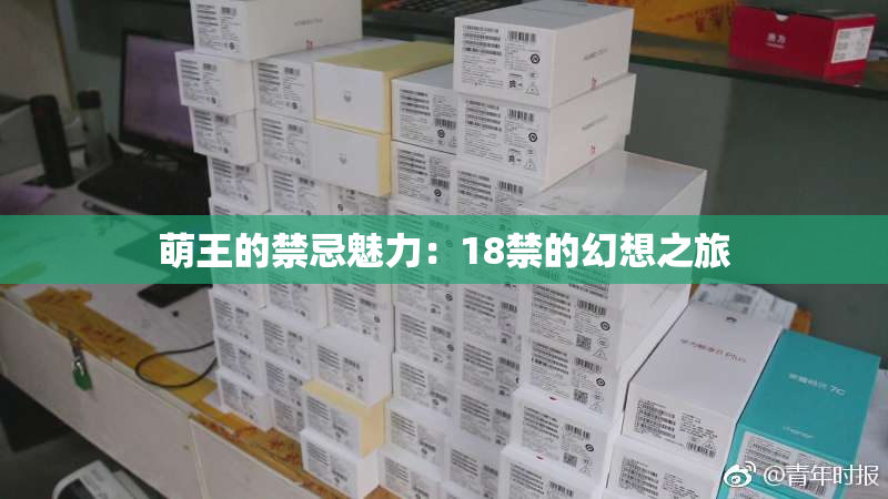 萌王的禁忌魅力：18禁的幻想之旅