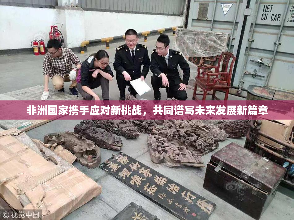 非洲国家携手应对新挑战，共同谱写未来发展新篇章
