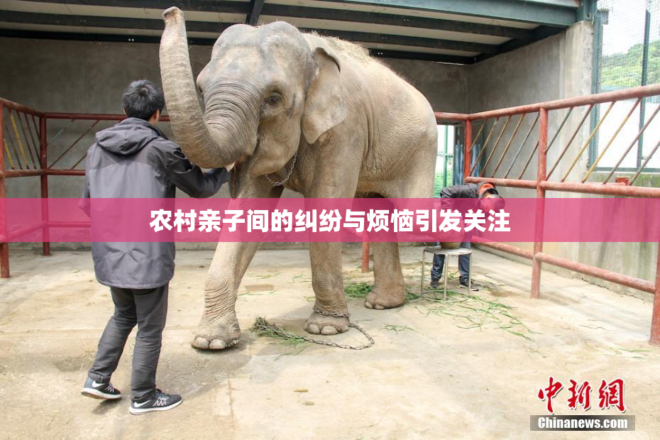 农村亲子间的纠纷与烦恼引发关注