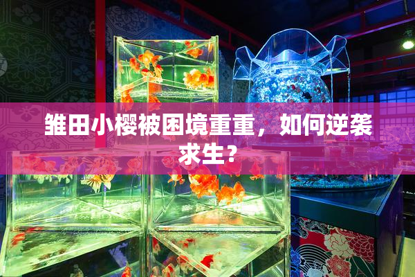 雏田小樱被困境重重，如何逆袭求生？