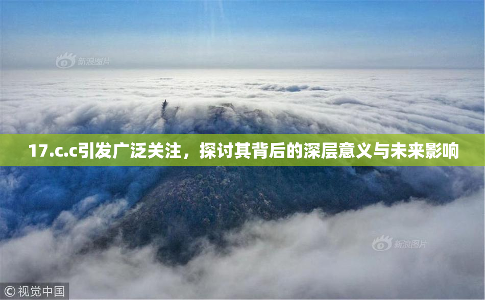 17.c.c引发广泛关注，探讨其背后的深层意义与未来影响