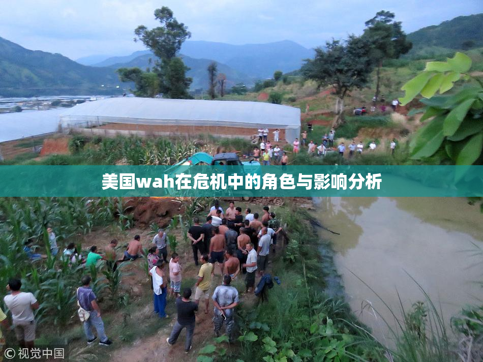 美国wah在危机中的角色与影响分析