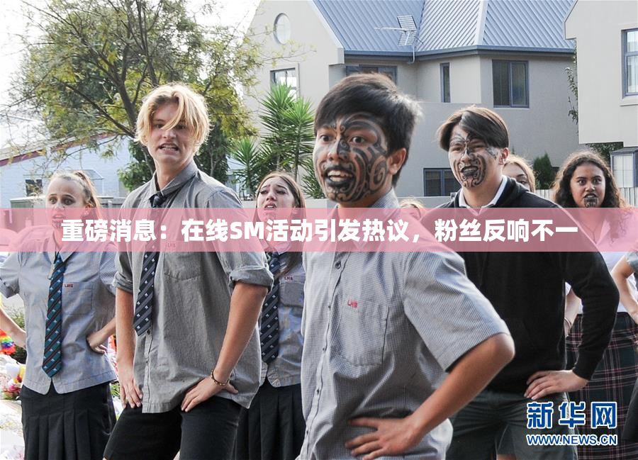 重磅消息：在线SM活动引发热议，粉丝反响不一