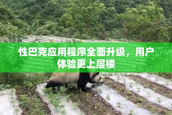 性巴克应用程序全面升级，用户体验更上层楼