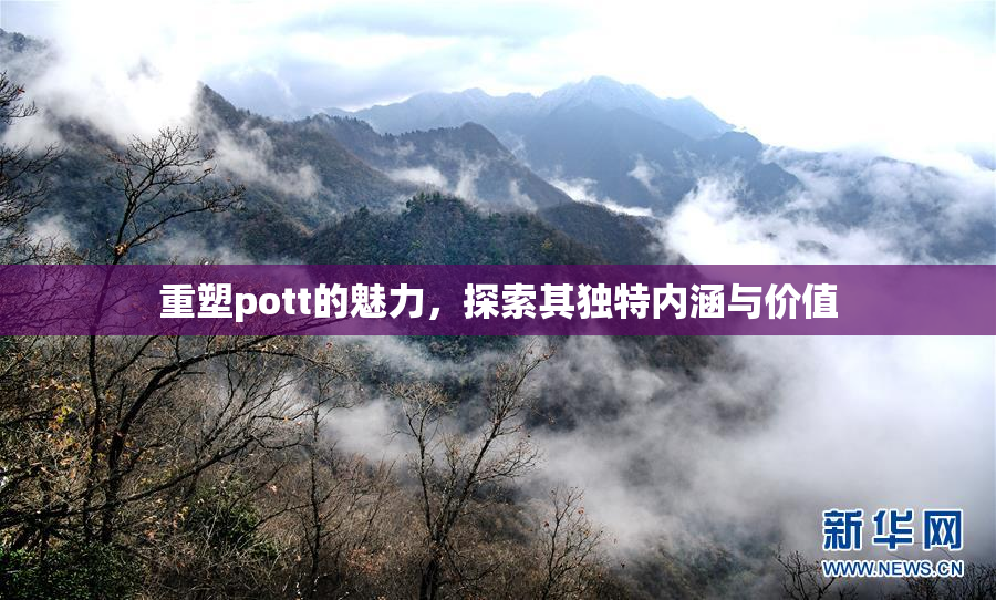 重塑pott的魅力，探索其独特内涵与价值
