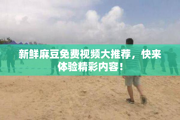 新鲜麻豆免费视频大推荐，快来体验精彩内容！