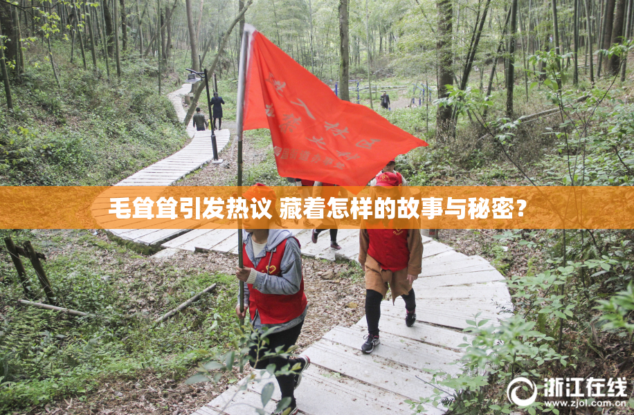 毛耸耸引发热议 藏着怎样的故事与秘密？