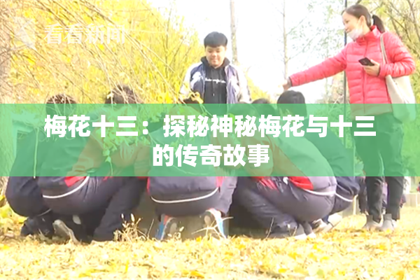 梅花十三：探秘神秘梅花与十三的传奇故事