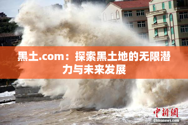 黑土.com：探索黑土地的无限潜力与未来发展