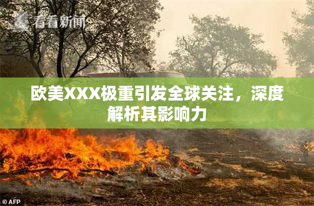 欧美XXX极重引发全球关注，深度解析其影响力