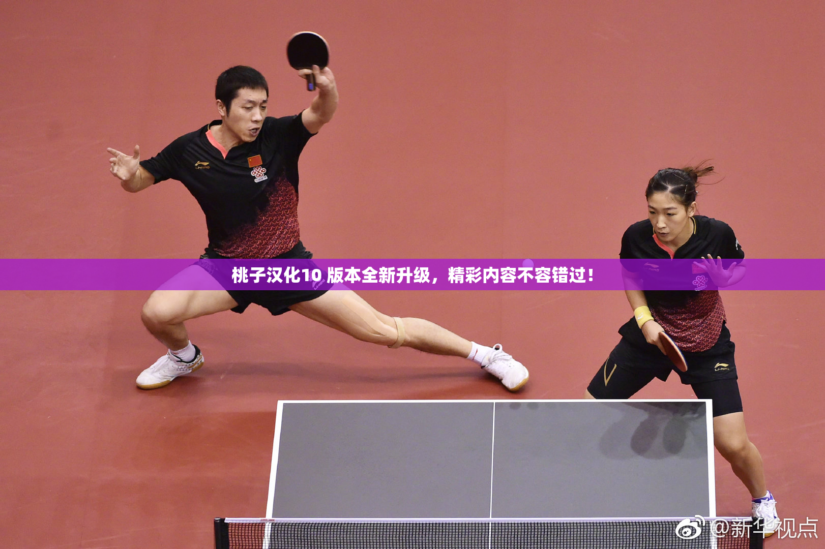 桃子汉化10 版本全新升级，精彩内容不容错过！