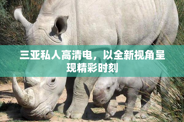 三亚私人高清电，以全新视角呈现精彩时刻