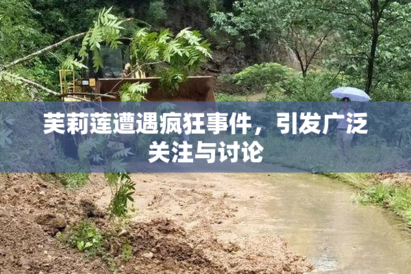 芙莉莲遭遇疯狂事件，引发广泛关注与讨论