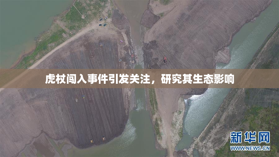 虎杖闯入事件引发关注，研究其生态影响