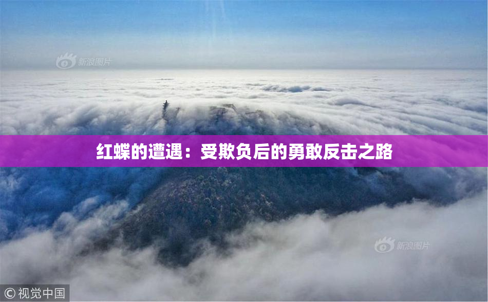 红蝶的遭遇：受欺负后的勇敢反击之路