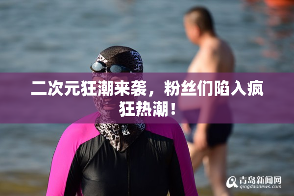 二次元狂潮来袭，粉丝们陷入疯狂热潮！