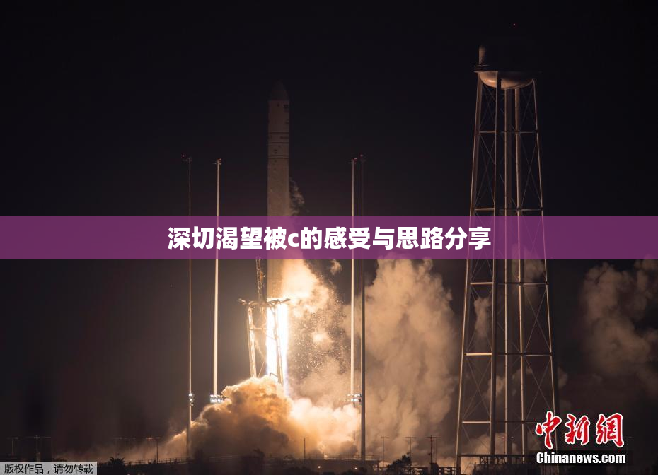 深切渴望被c的感受与思路分享