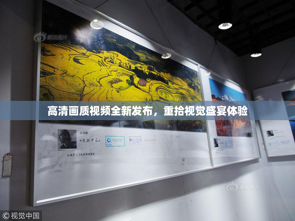 高清画质视频全新发布，重拾视觉盛宴体验