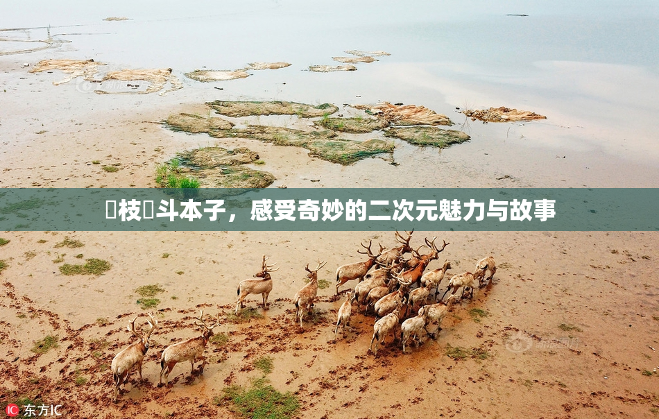 狛枝凪斗本子，感受奇妙的二次元魅力与故事