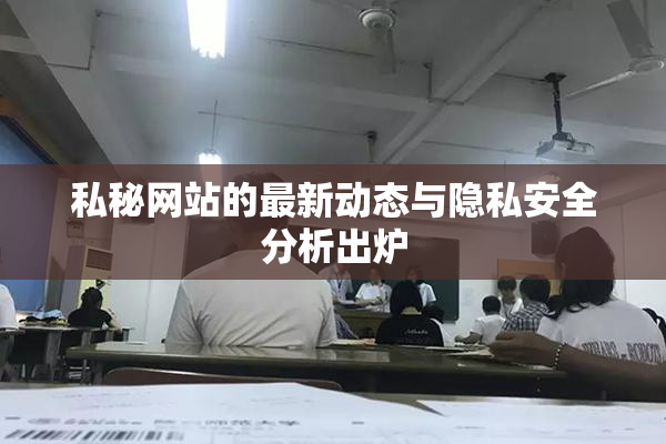 私秘网站的最新动态与隐私安全分析出炉