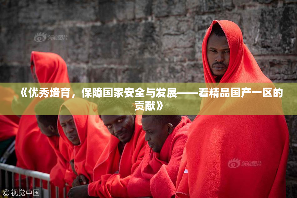 《优秀培育，保障国家安全与发展——看精品国产一区的贡献》