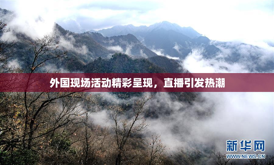 外国现场活动精彩呈现，直播引发热潮