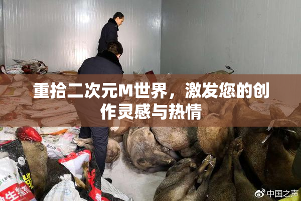 重拾二次元M世界，激发您的创作灵感与热情