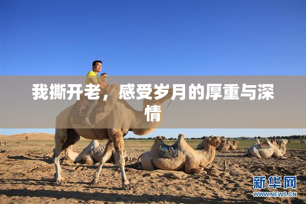 我撕开老，感受岁月的厚重与深情