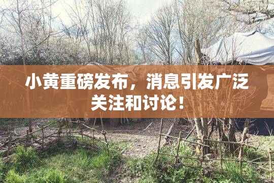 小黄重磅发布，消息引发广泛关注和讨论！