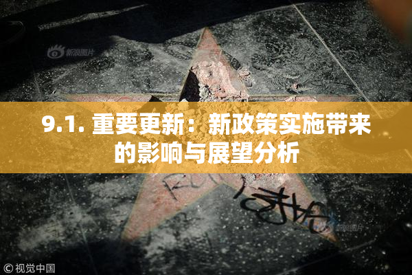 9.1. 重要更新：新政策实施带来的影响与展望分析