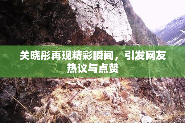 关晓彤再现精彩瞬间，引发网友热议与点赞