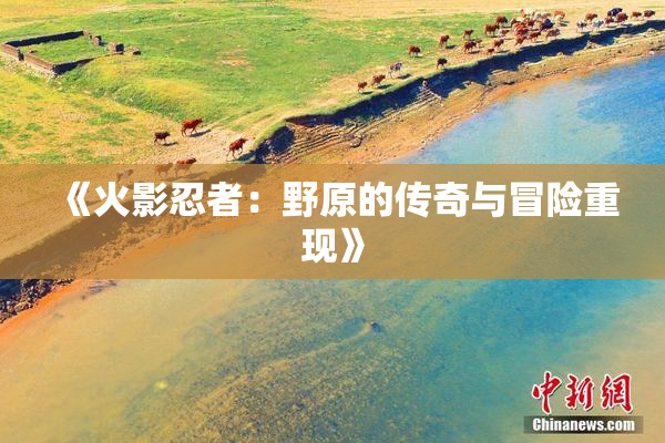 《火影忍者：野原的传奇与冒险重现》