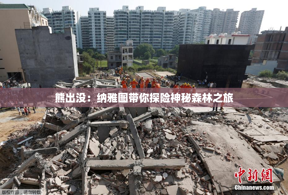 熊出没：纳雅图带你探险神秘森林之旅