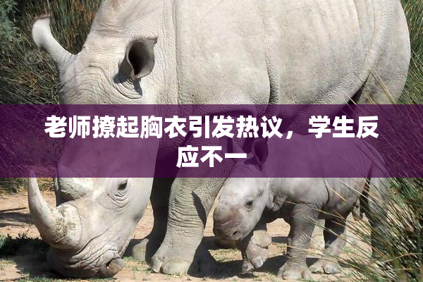 老师撩起胸衣引发热议，学生反应不一