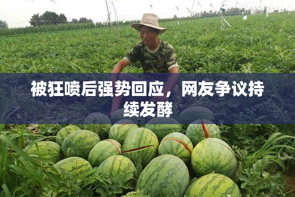 被狂喷后强势回应，网友争议持续发酵