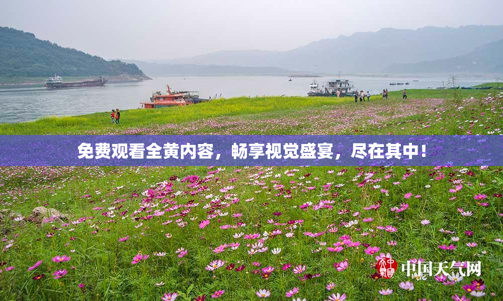 免费观看全黄内容，畅享视觉盛宴，尽在其中！