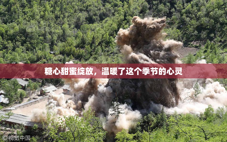 糖心甜蜜绽放，温暖了这个季节的心灵