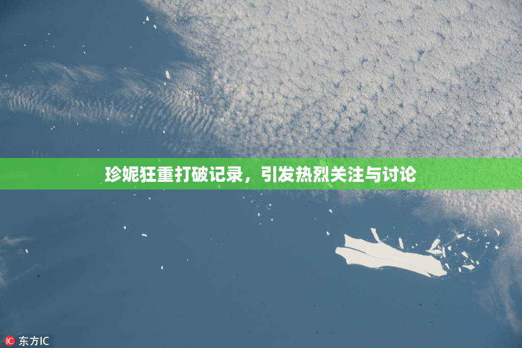 珍妮狂重打破记录，引发热烈关注与讨论