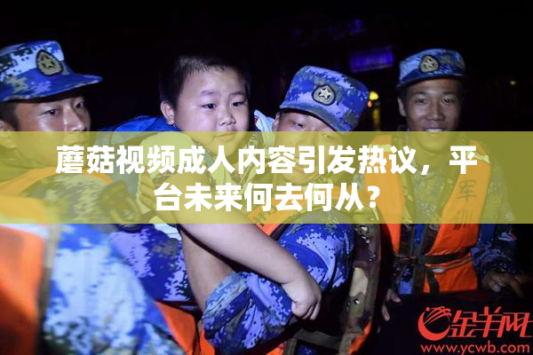 蘑菇视频成人内容引发热议，平台未来何去何从？