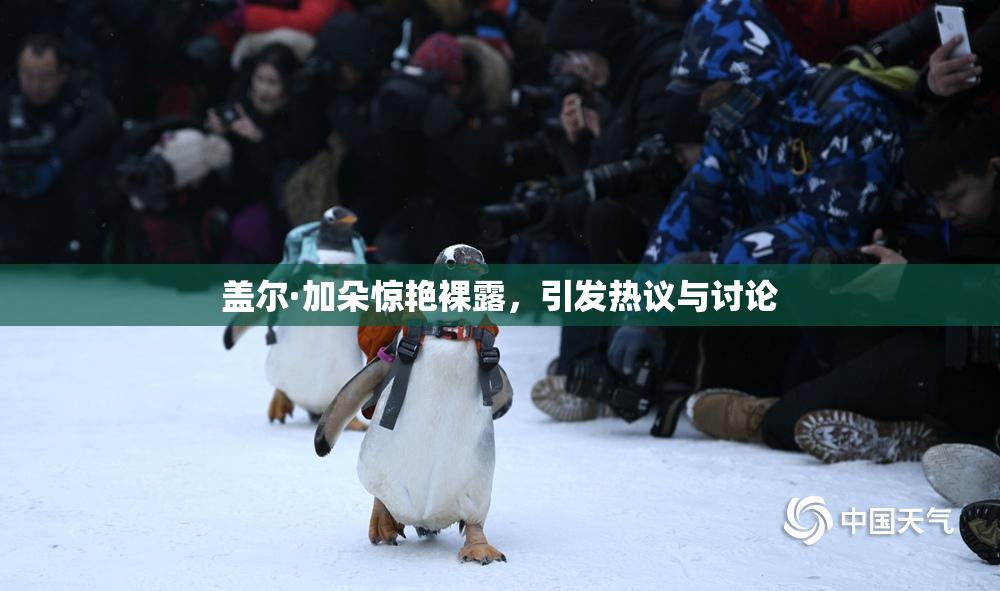 盖尔·加朵惊艳裸露，引发热议与讨论