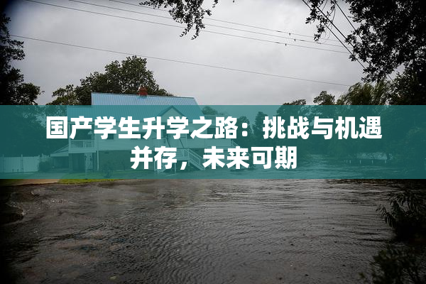 国产学生升学之路：挑战与机遇并存，未来可期