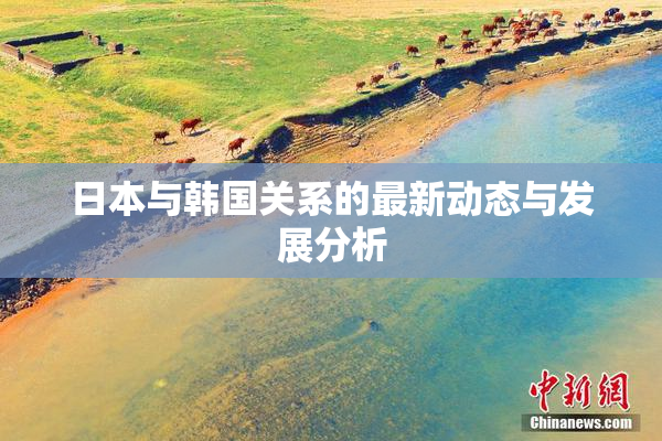 日本与韩国关系的最新动态与发展分析