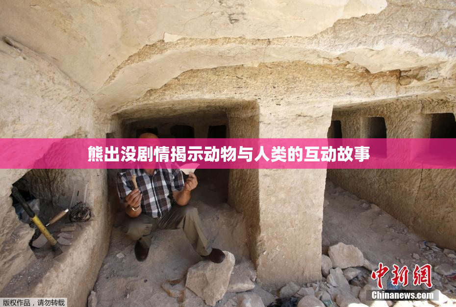 熊出没剧情揭示动物与人类的互动故事
