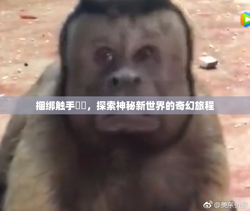捆绑触手❌‌，探索神秘新世界的奇幻旅程