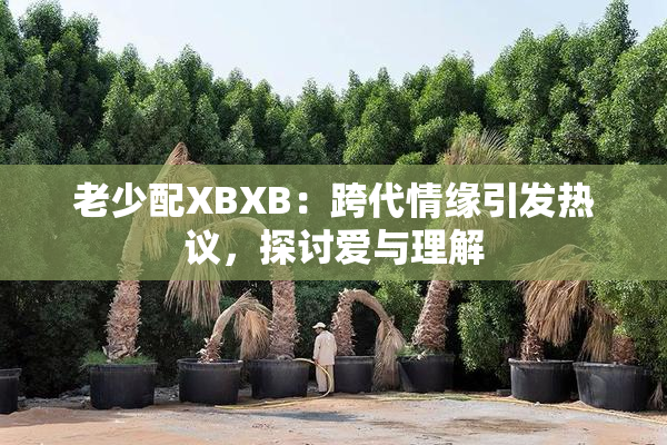 老少配XBXB：跨代情缘引发热议，探讨爱与理解