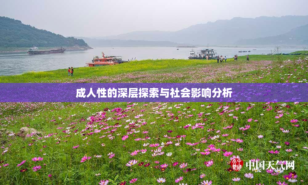 成人性的深层探索与社会影响分析